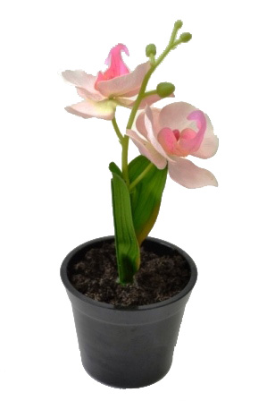 Композиция "Орхидея" (бело/розовая) Р-24 в горшке (32947)          1/72шт.