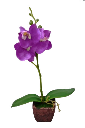 Композиция "Орхидея" (фиолетовая) Р-25 в горшке (32948)          1/288шт.